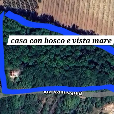 Casa Con Bosco E Vista Mare * Montescudaio