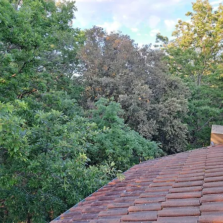 Casa Con Bosco E Vista Mare Nyaraló