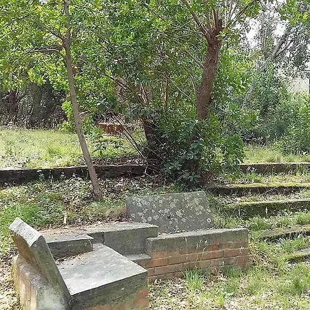 Tatil Evi Casa Con Bosco E Vista Mare Montescudaio