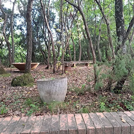 Tatil Evi Casa Con Bosco E Vista Mare