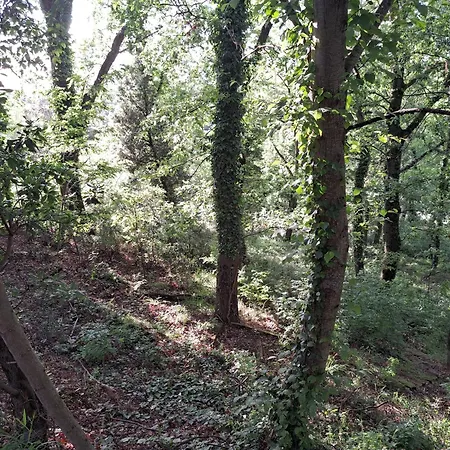 Tatil Evi Casa Con Bosco E Vista Mare *
