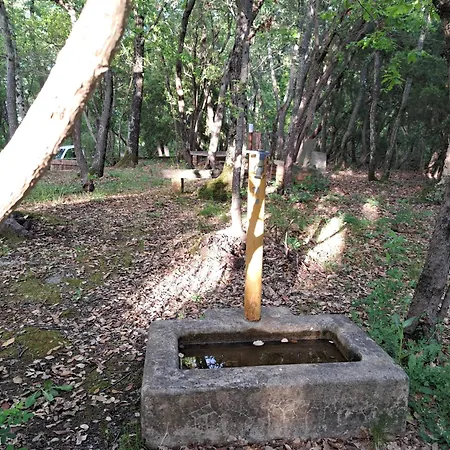 Casa Con Bosco E Vista Mare Tatil Evi Montescudaio