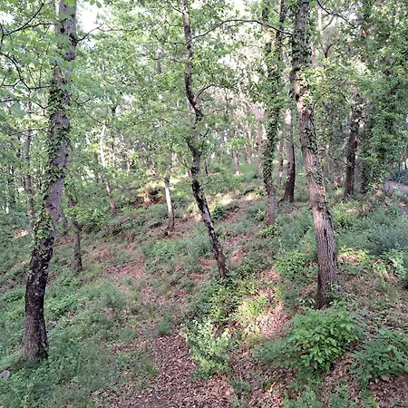 Casa Con Bosco E Vista Mare * Montescudaio