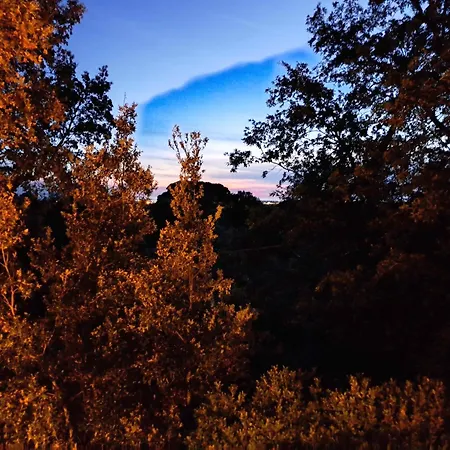 Casa Con Bosco E Vista Mare * Montescudaio