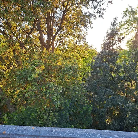 Tatil Evi Casa Con Bosco E Vista Mare *