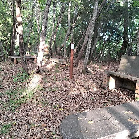 Casa Con Bosco E Vista Mare Tatil Evi Montescudaio