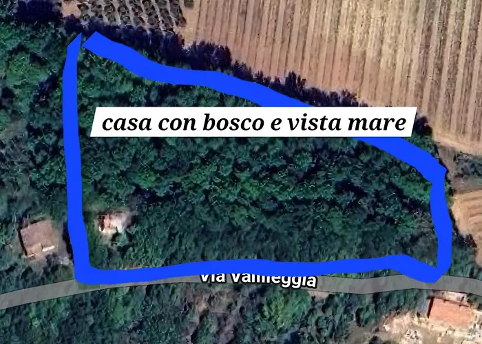 Casa Con Bosco E Vista Mare * Montescudaio