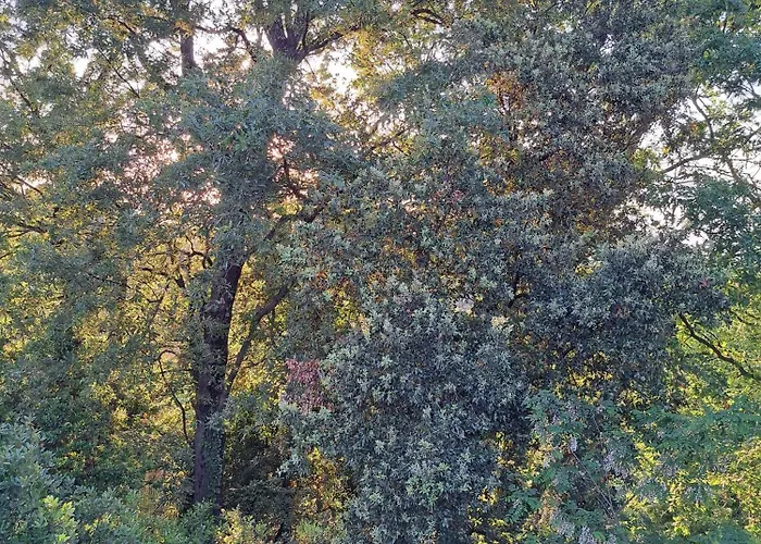 Casa Con Bosco E Vista Mare