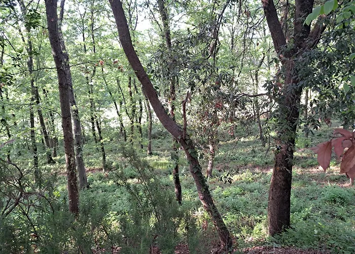 Casa Con Bosco E Vista Mare Prázdninový dům *