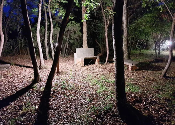 Casa Con Bosco E Vista Mare Montescudaio