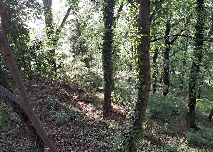 Prázdninový dům Casa Con Bosco E Vista Mare *