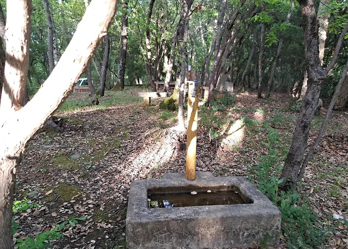Casa Con Bosco E Vista Mare Prázdninový dům Montescudaio