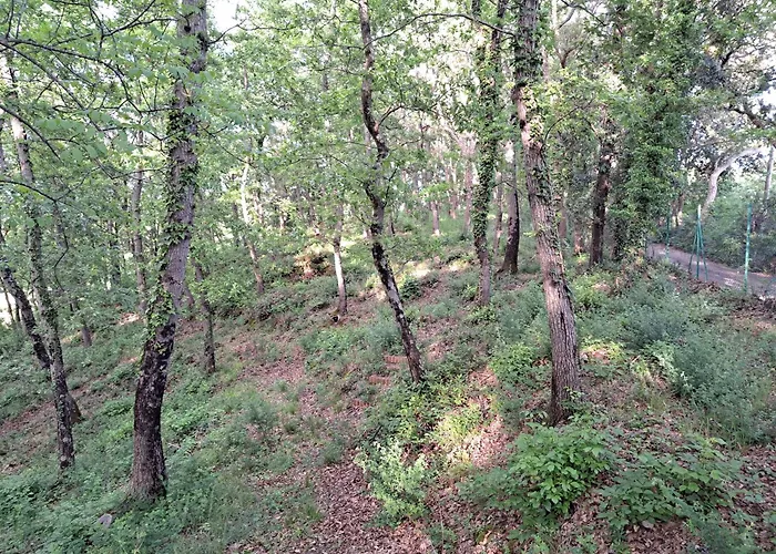 Casa Con Bosco E Vista Mare * Montescudaio