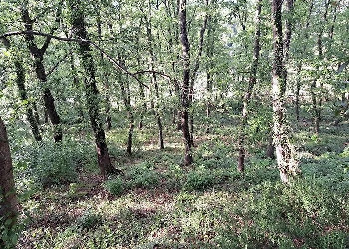 Casa Con Bosco E Vista Mare Prázdninový dům
