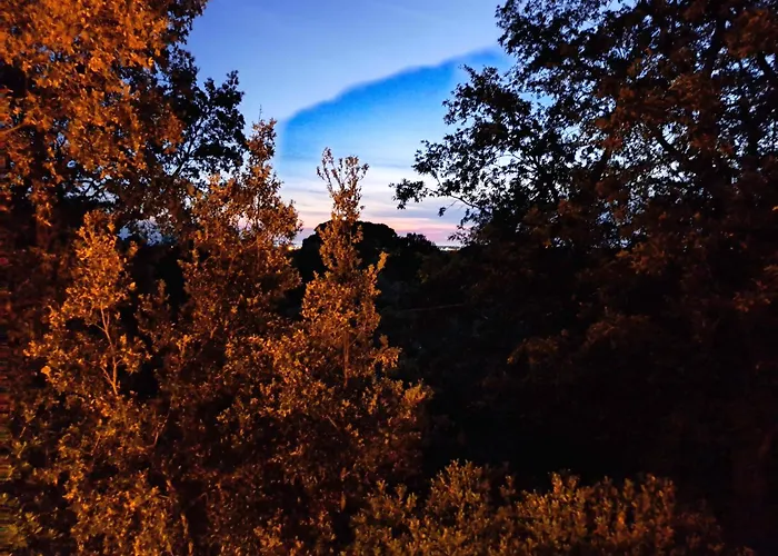 Casa Con Bosco E Vista Mare * Montescudaio