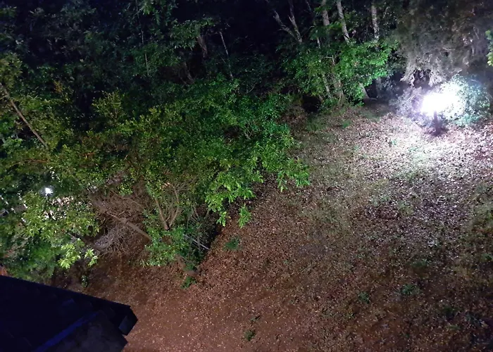 Prázdninový dům Casa Con Bosco E Vista Mare *