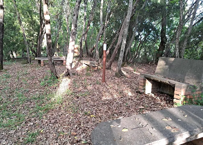 Casa Con Bosco E Vista Mare Prázdninový dům Montescudaio